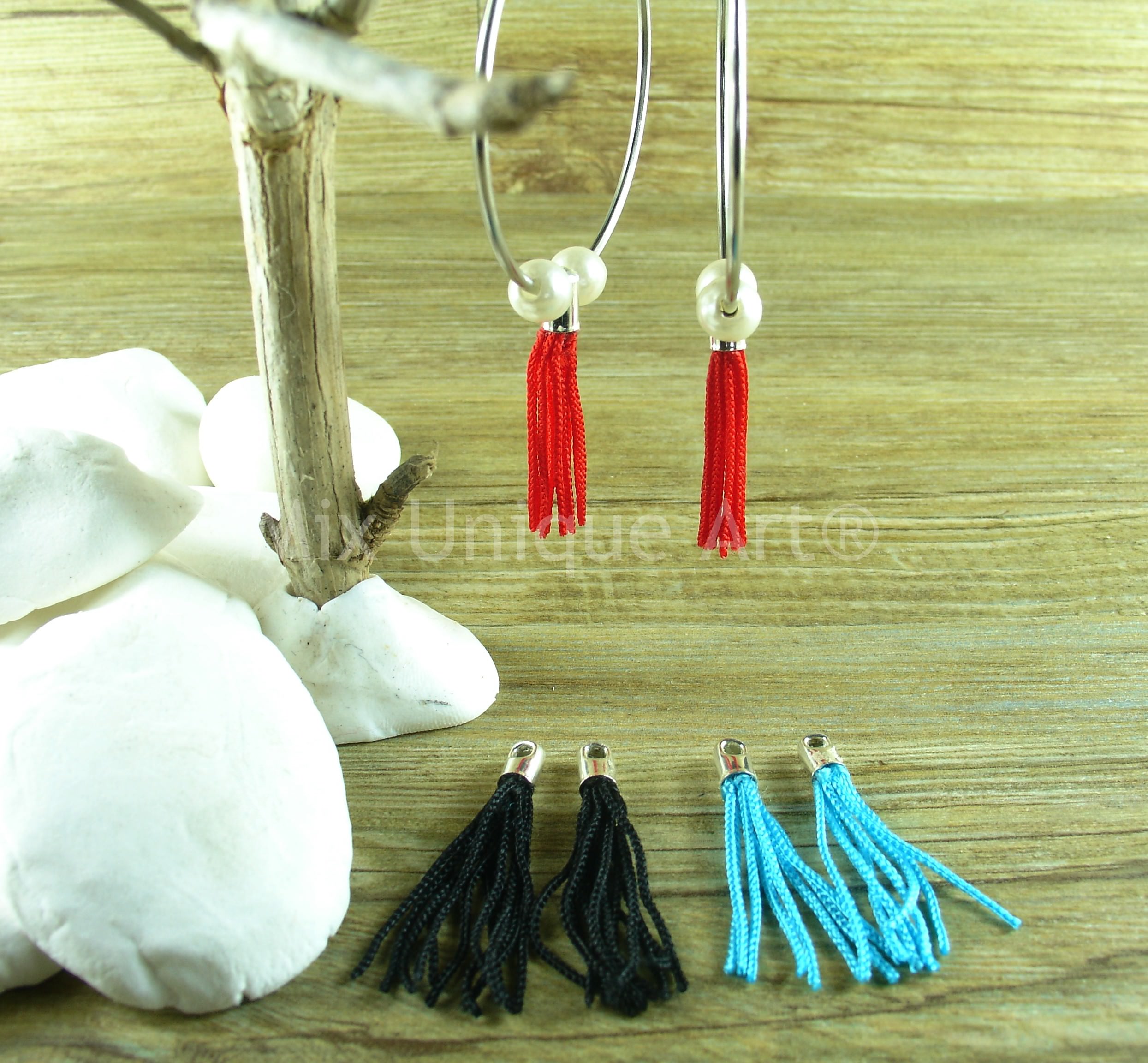 Interchangeable earrings tassel